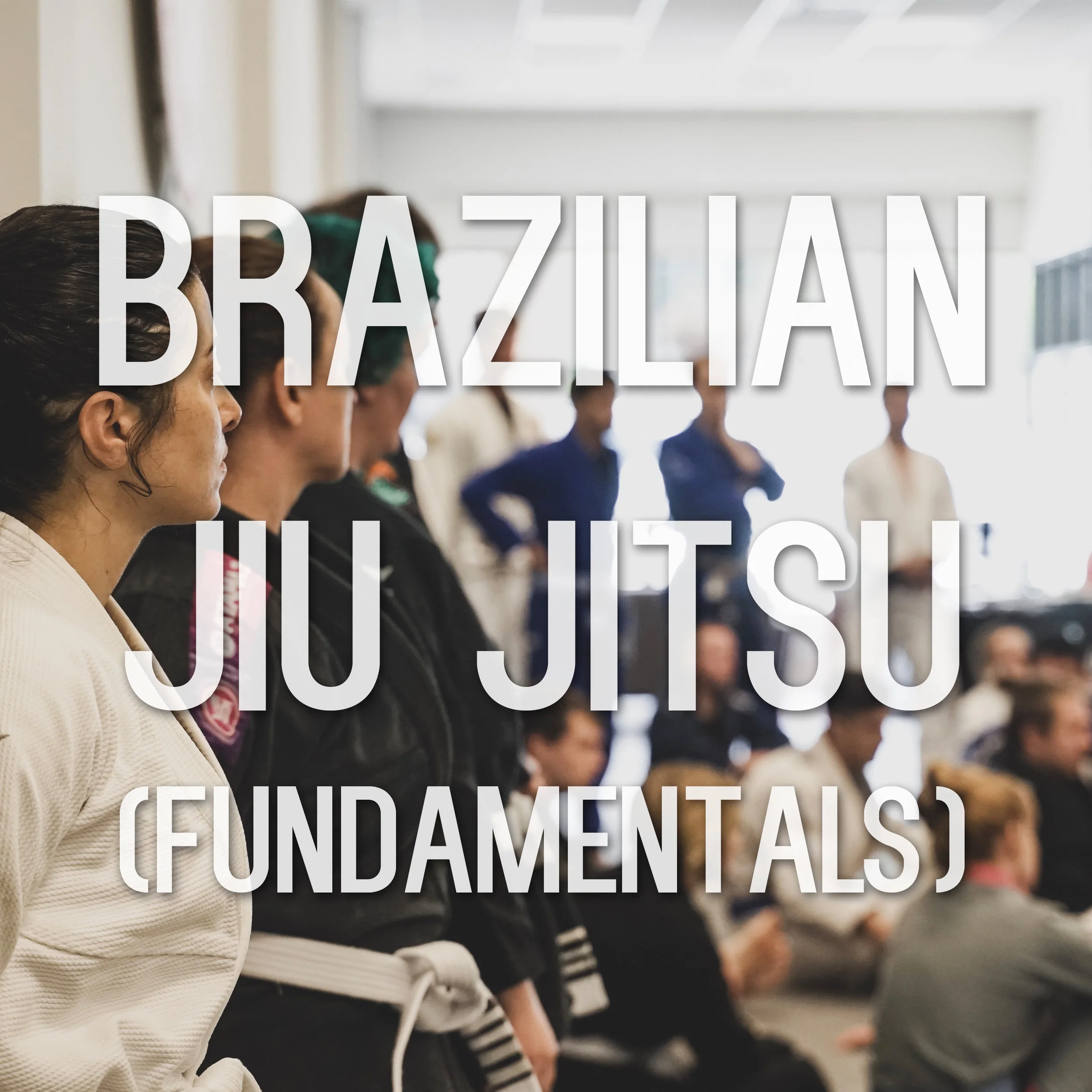 BJJ Fundamentals.jpg