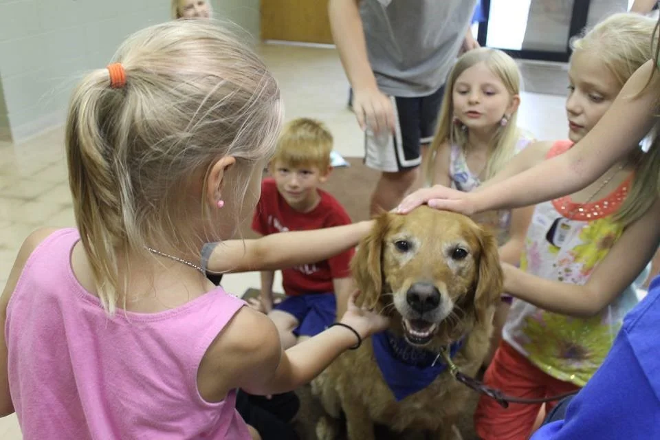 Pet Therapy dog Duffy visiting with the Mount Calvary Lutheran Church Bible Cam students.