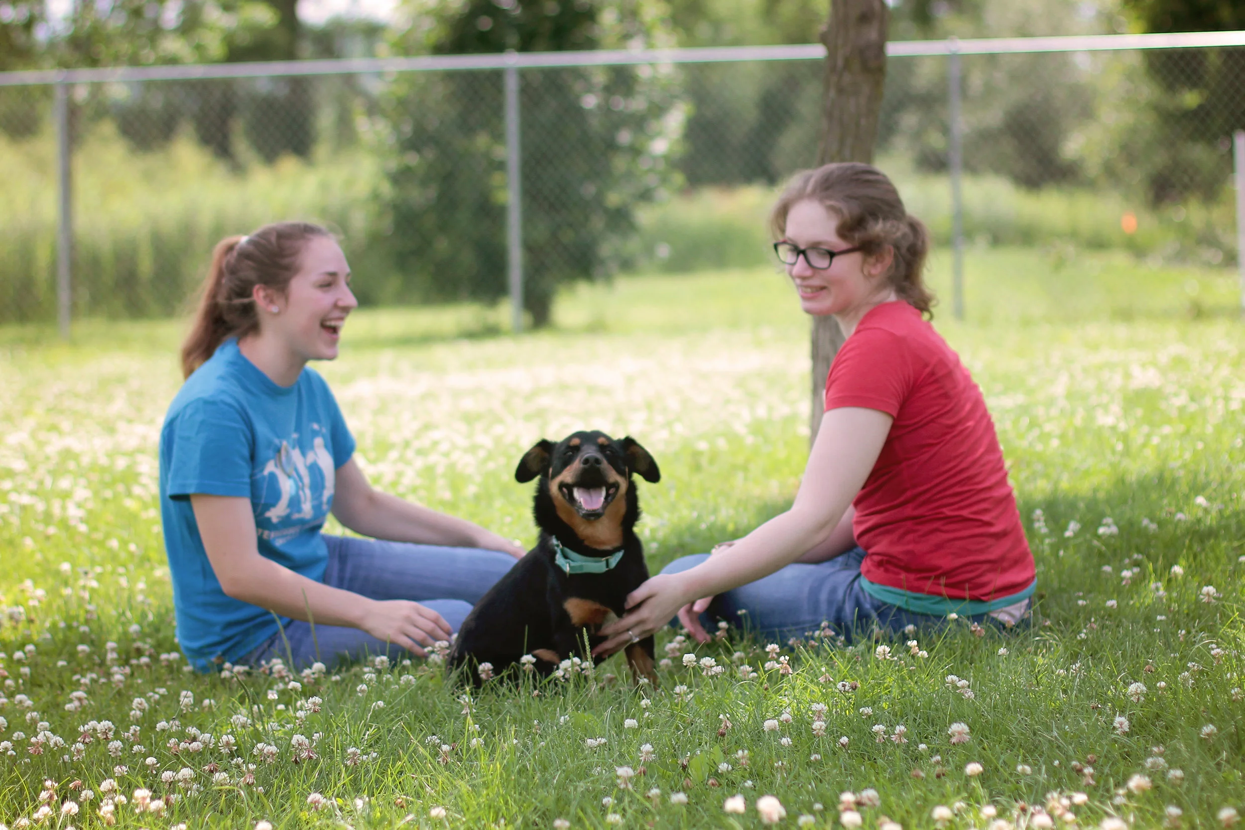 Coulee Region Humane Society