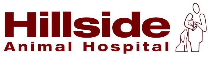 logo.png