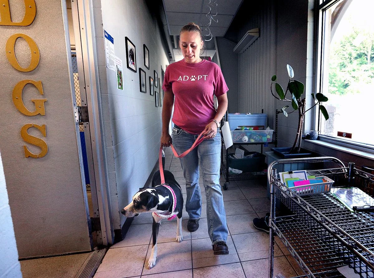 Executive director, Heather Hankins and Ophelia