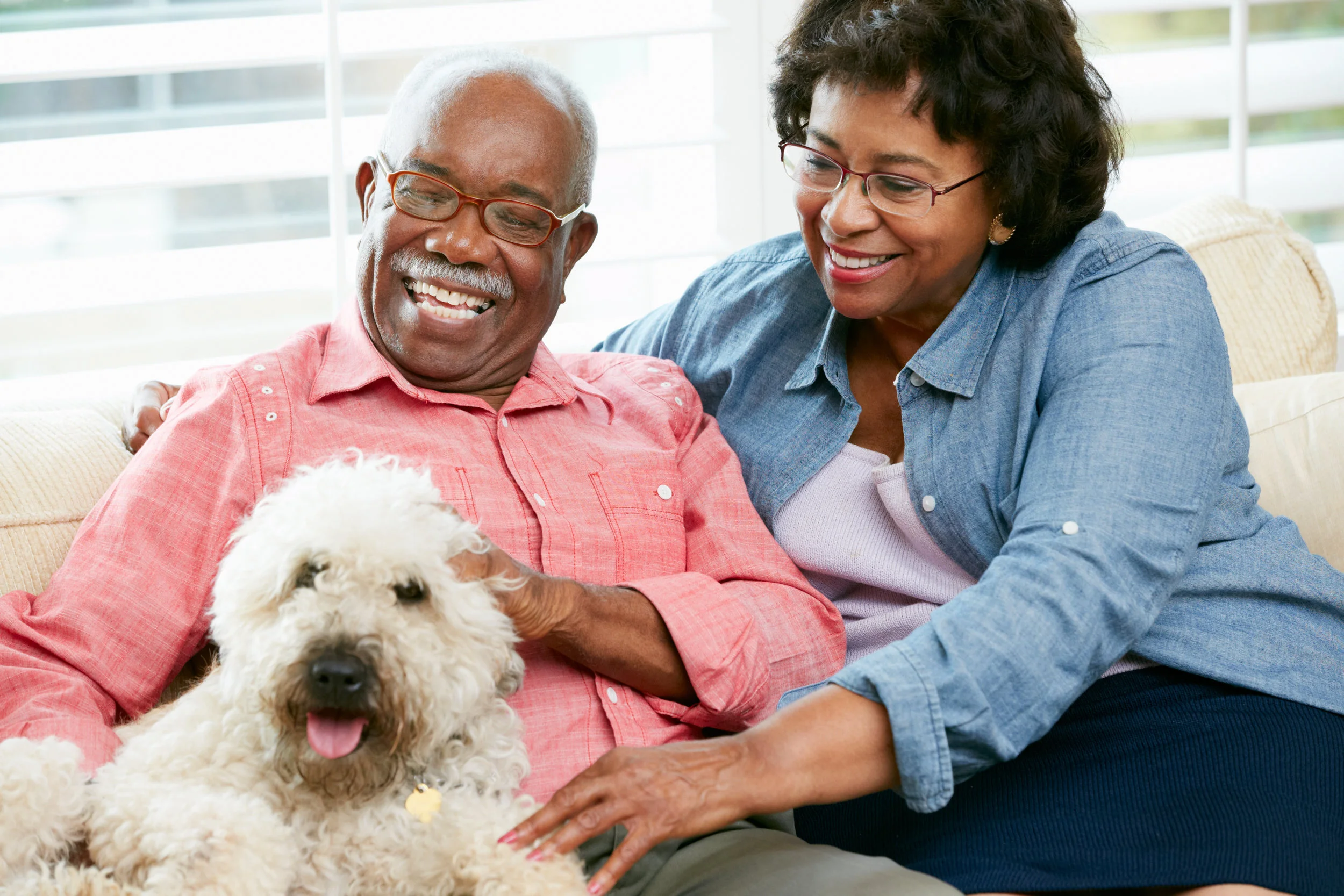 Elderly black couple with dog.jpeg
