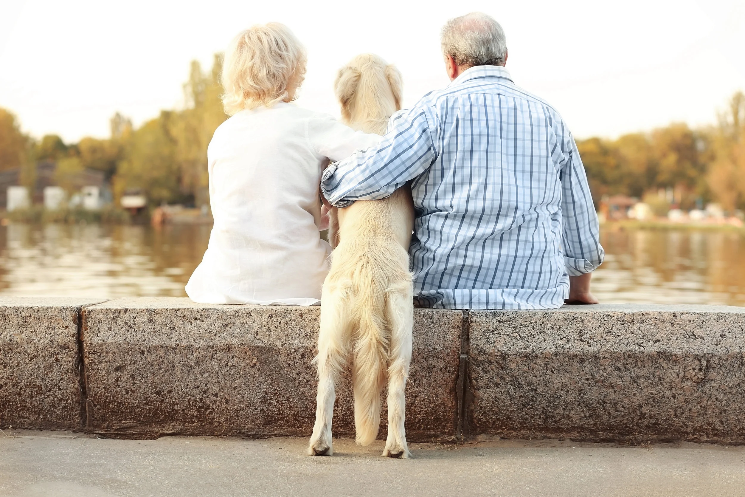 Couple with dog backs.jpeg