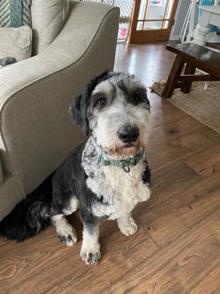 CRHP Linus