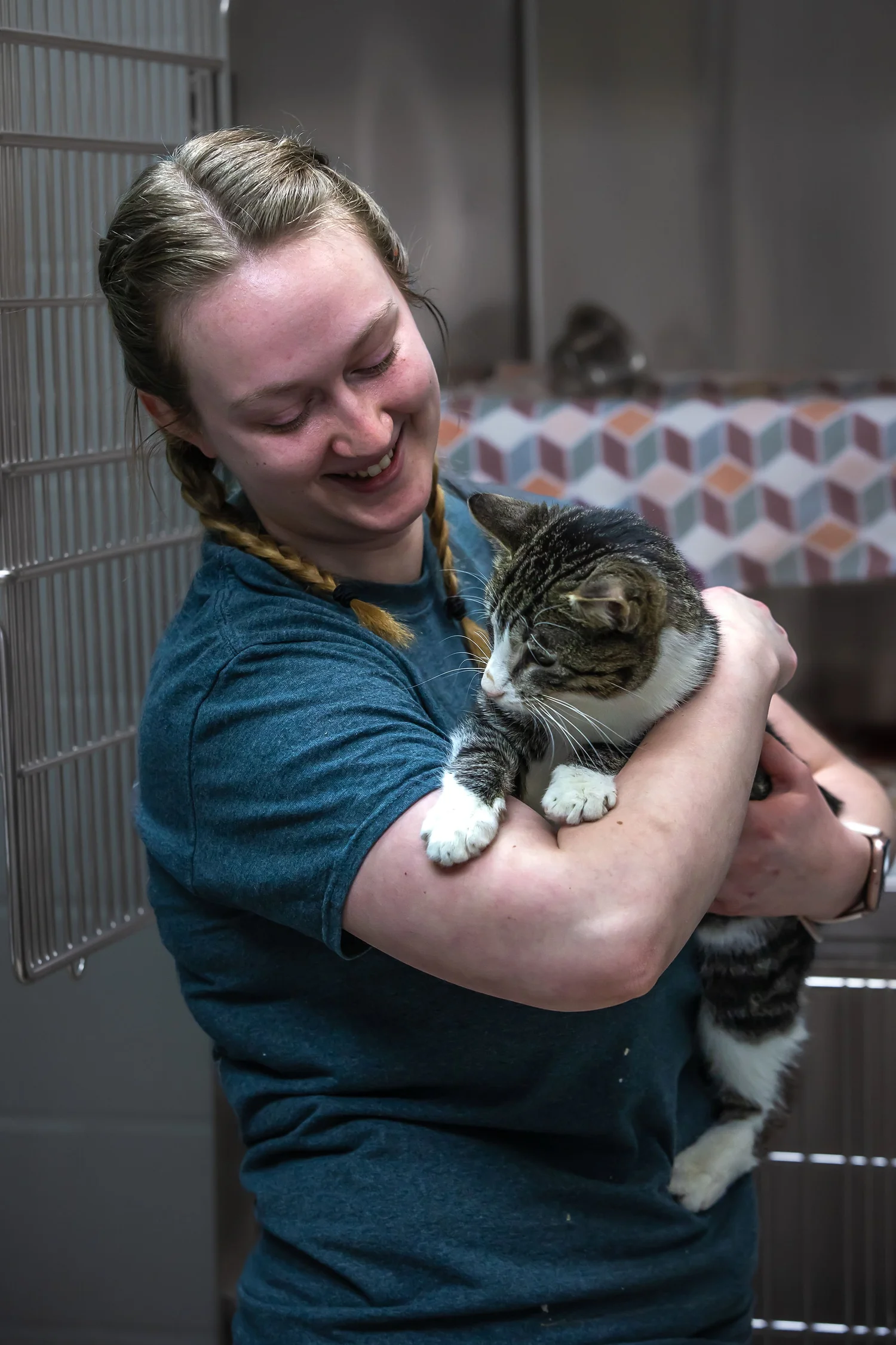 Pet Adoption FAQs For Coulee Region Humane Society