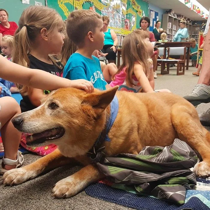 Join Coulee Region Humane Society's Pet Therapy Program