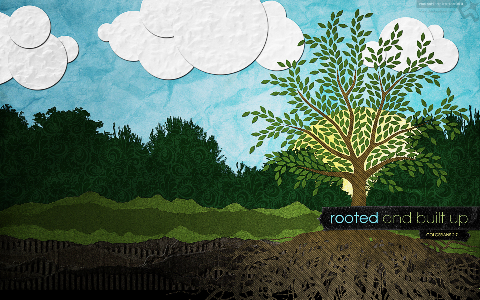 Rooted and Built up.jpg