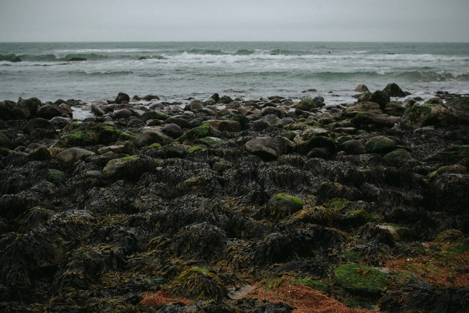 isle of wight vintage vacations travel-5.jpg