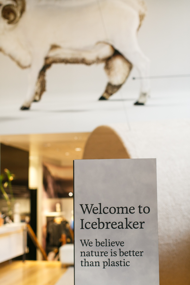 icebreaker-3380.jpg