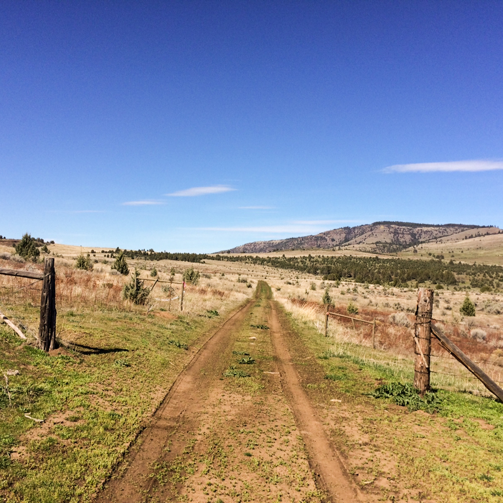 PAINTED HILLS