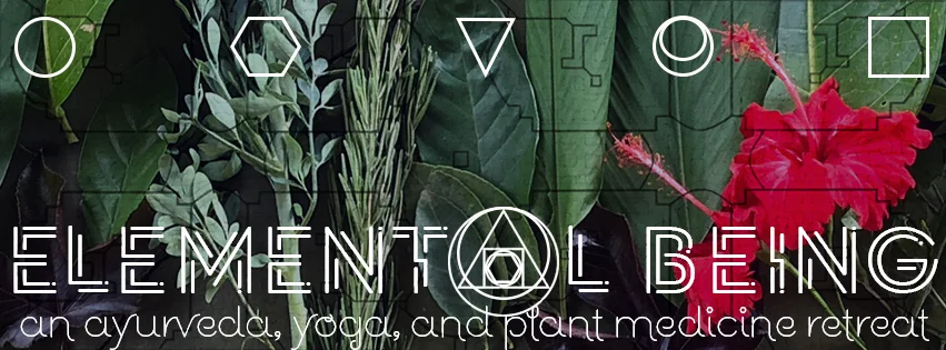 elementalbeingplantbannerayurveda.jpg
