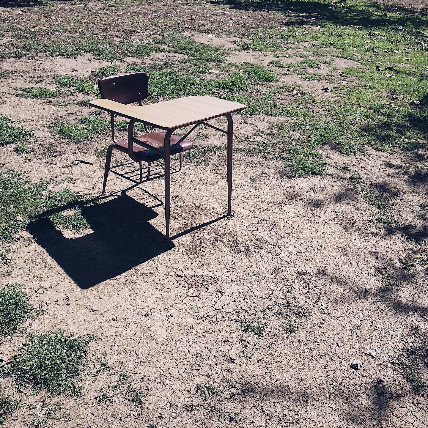 Shh, quick quick, look here...a wild desk! Usually timid and generally traumatized, desks have reclaimed empty school yards amidst COVID-19 lockdown. Deprived of old gum and food wrappers, this young desk was found scavenging for food on a dry lawn i
