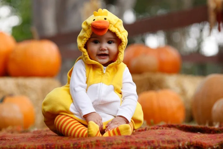 Carter's_Halloween_2011_chick.jpg