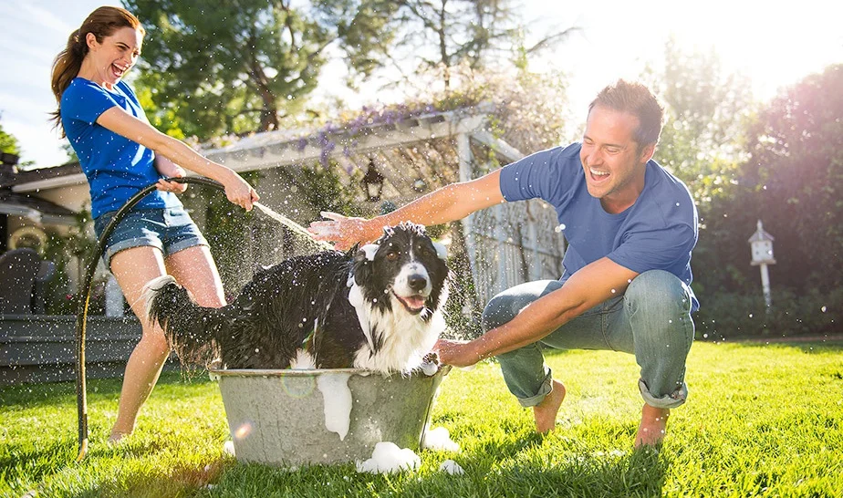 FruitOfTheLoom_couple_wash_dog.jpg