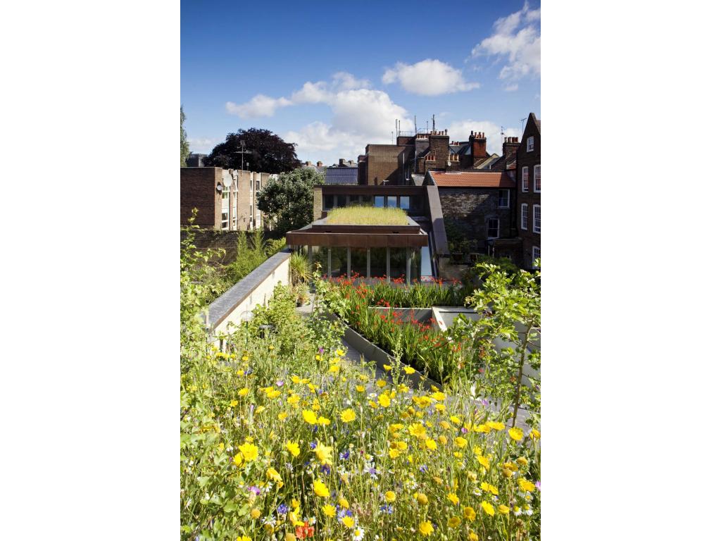 The-Muse-Bere-architects-towards-passivhaus-roof-garden-first-year-3.jpg