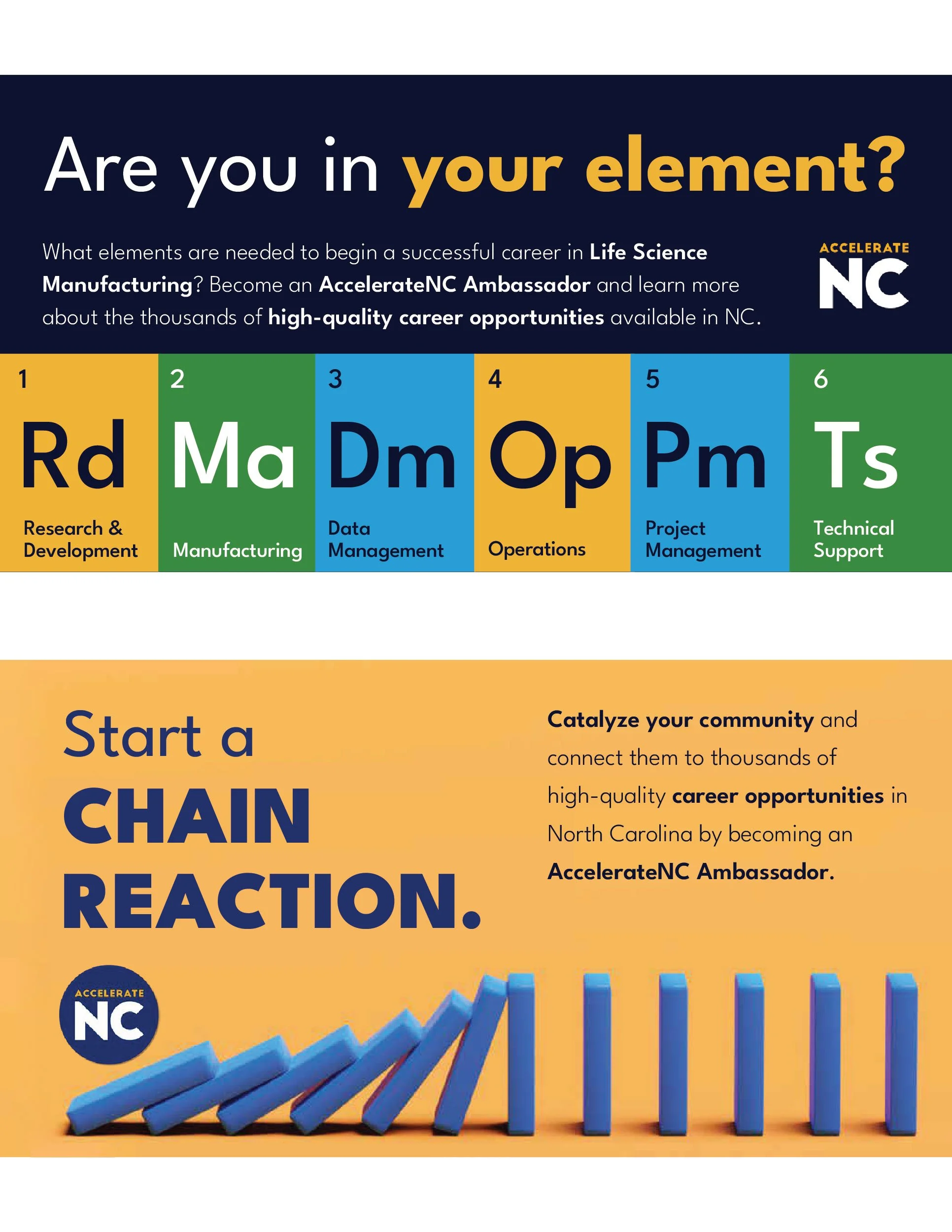043024_NCB_Website_Setup-02.png