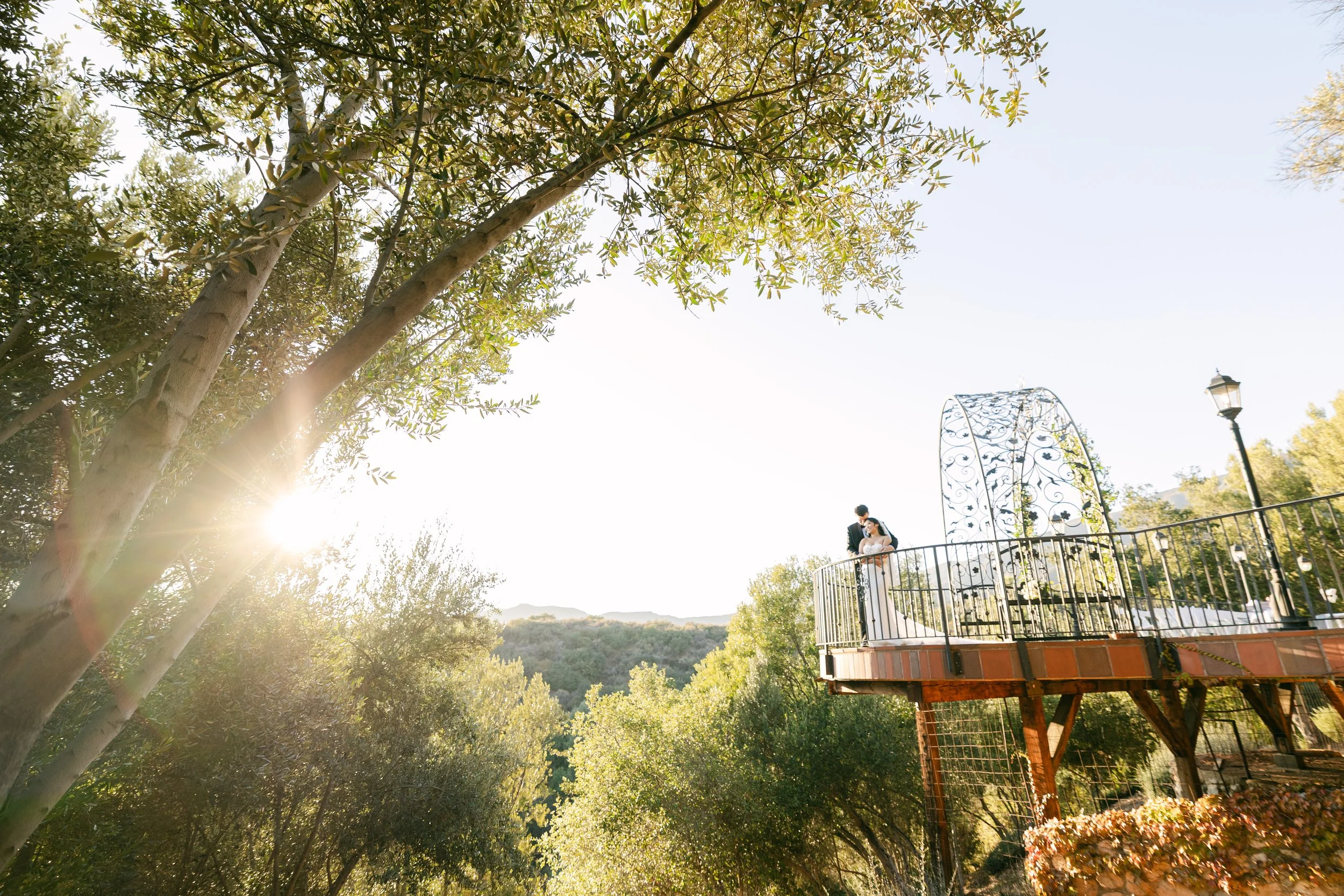 A couple in wedding attire on a balcony with a decorative metal arch, surrounded by trees under a clear sky, with sunlight coming through the branches.