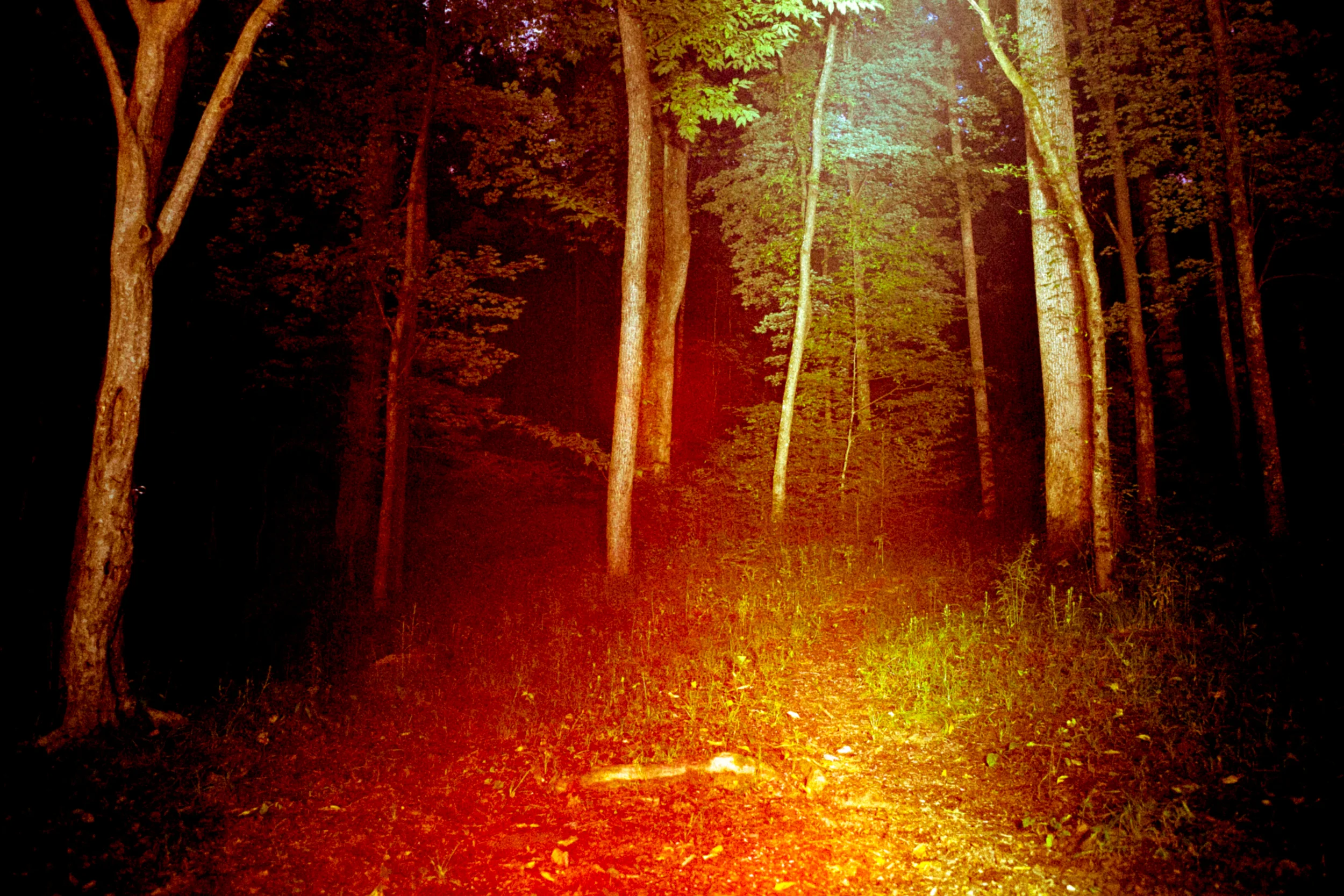 Georgia, Tennessee, Kentucky