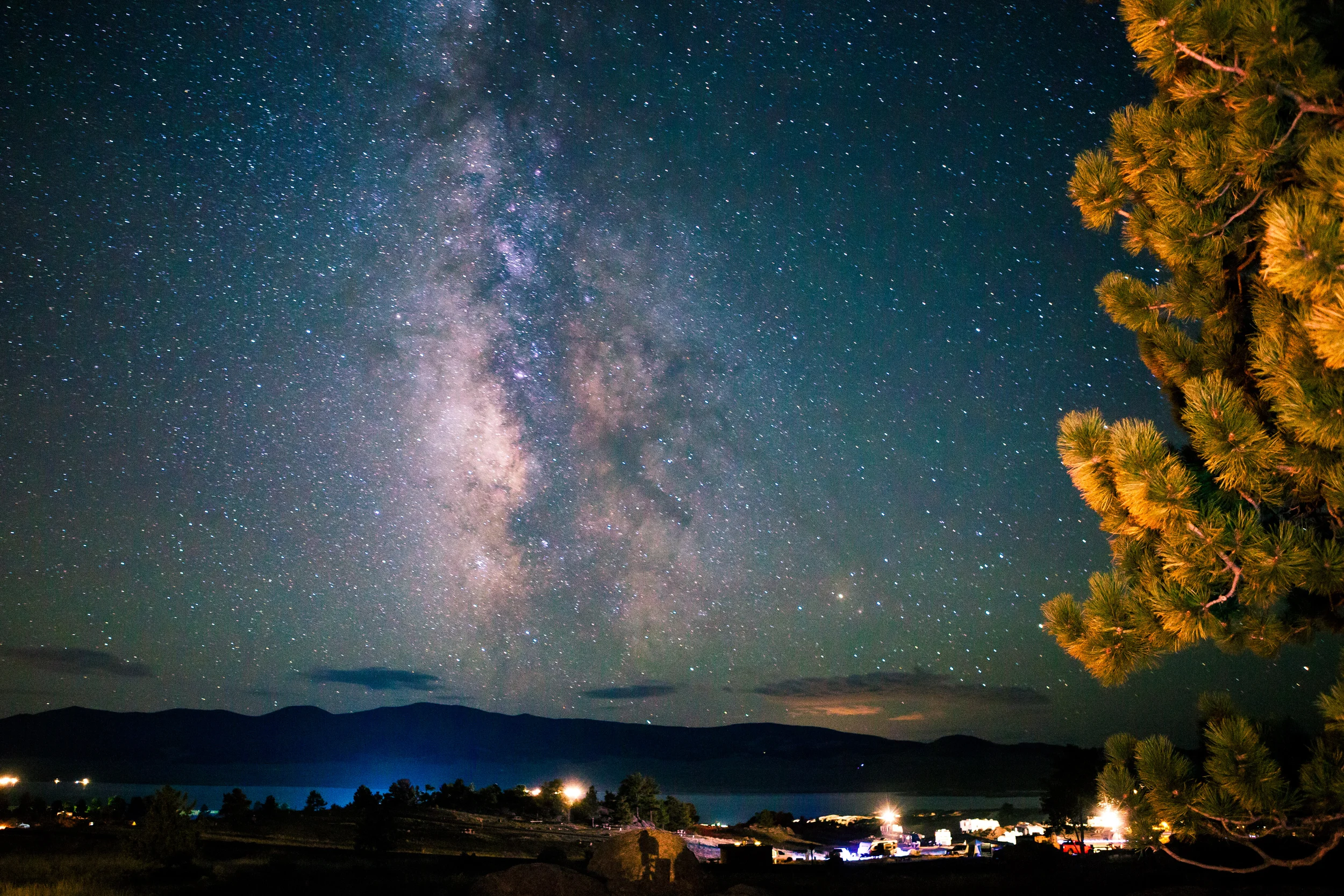 You Will Bear-ly Believe It