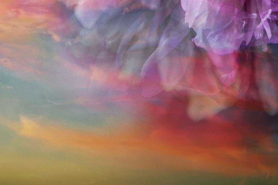 snippit2-_0000_Layer 6 copy 31.jpg