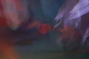 snippit2-_0006_Layer 6 copy 28.jpg