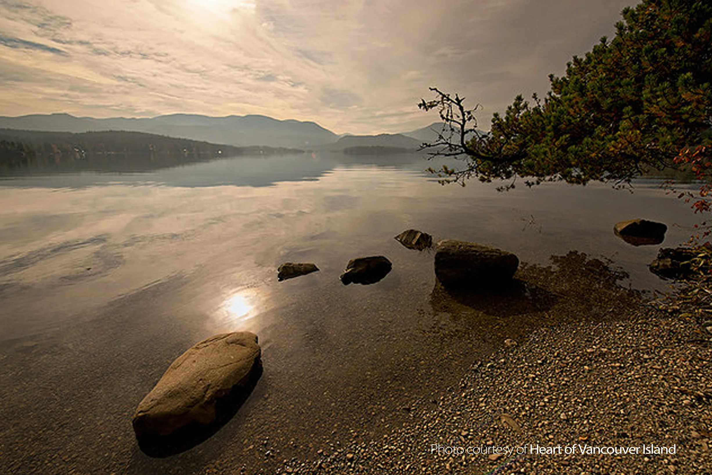 Gallery_27b.jpg