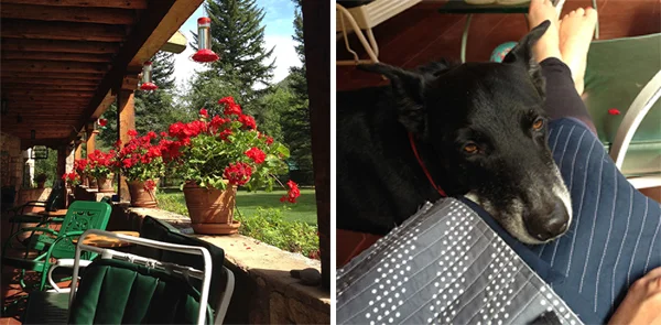 Binding on the front porch with Dash.