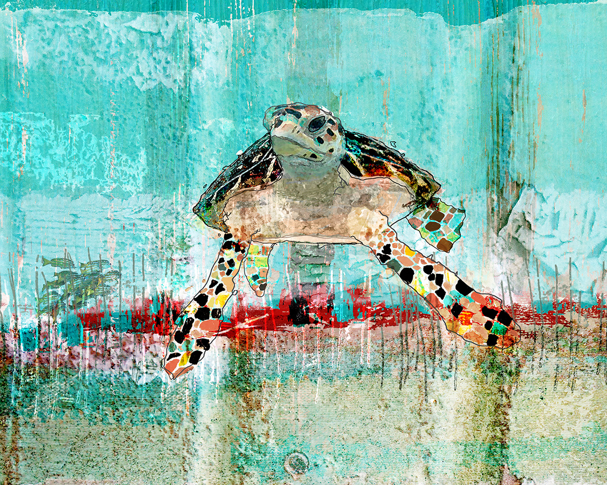 Sea Turtle 1.0