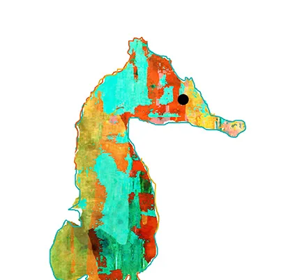 seahorse-thumb-web.jpg