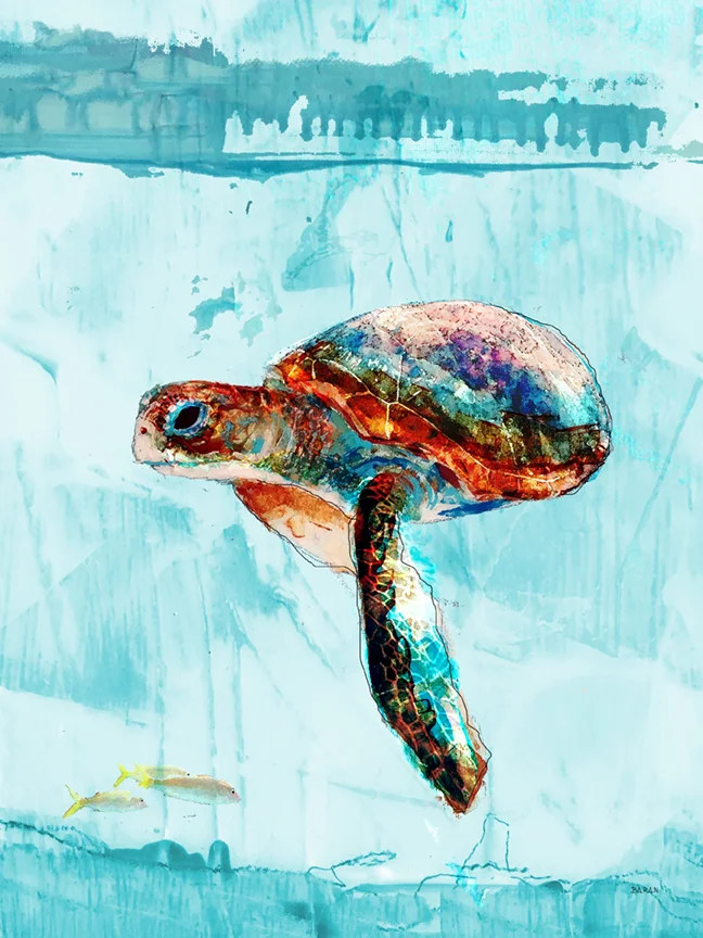 honu-4.0web.jpg