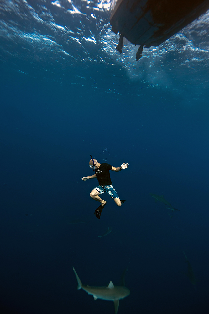 Swimming with and photographing sharks in Hawaii. Photo by Juan Oliphant.