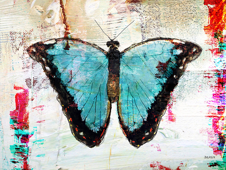 bluemorpho-web.jpg