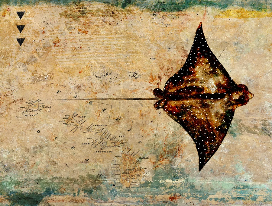 EagleRay-1.0-9-x-12webi.jpg