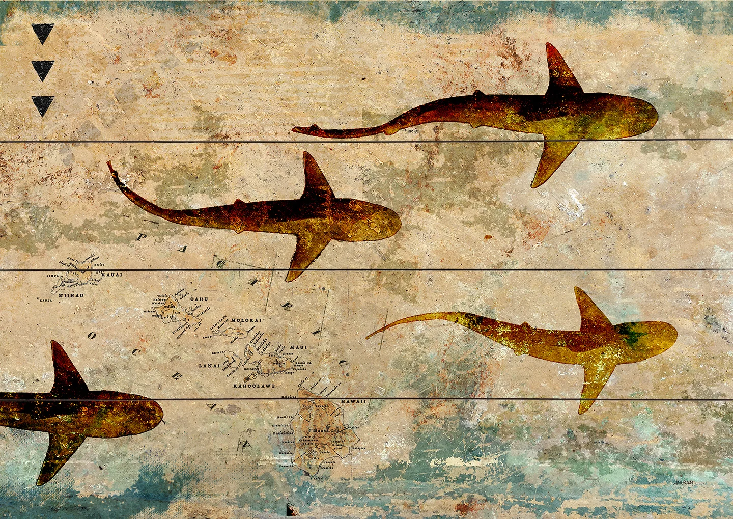 Sandbar-Sharks-1.0-14-x-20-web.jpg