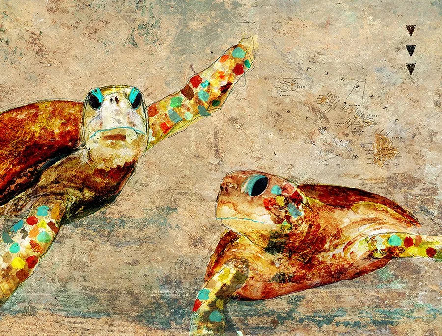 Owl sea turtle print featuring contemporary wildlife artwork by John Baran.