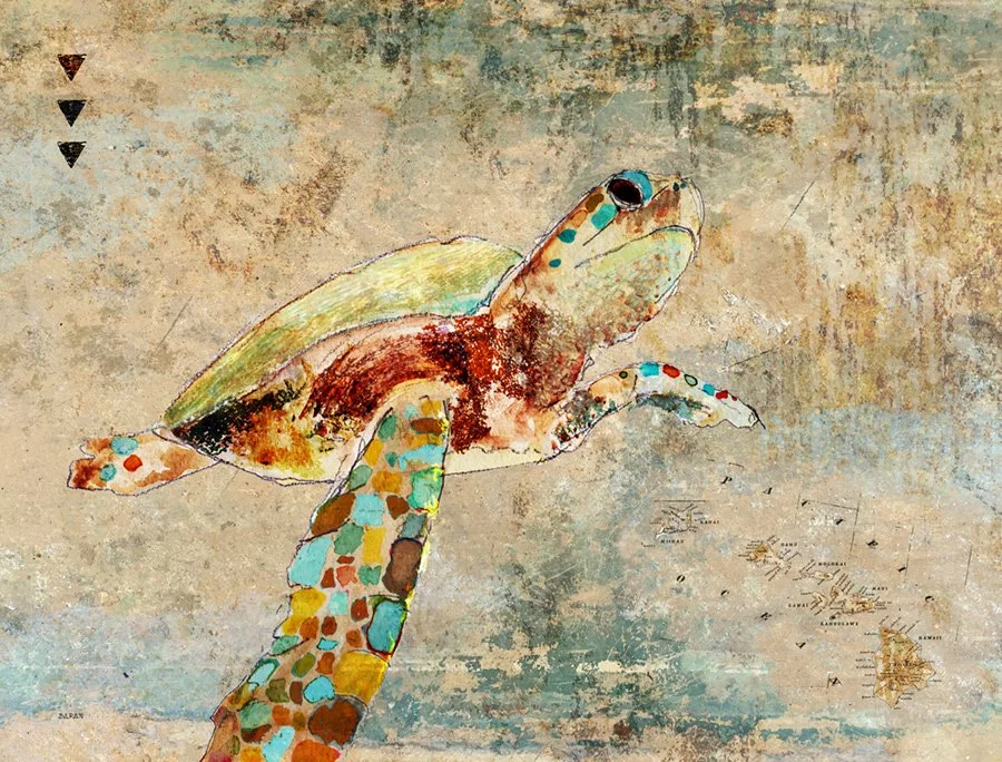 Sea turtle art print featuring contemporary wildlife artwork by John Baran.