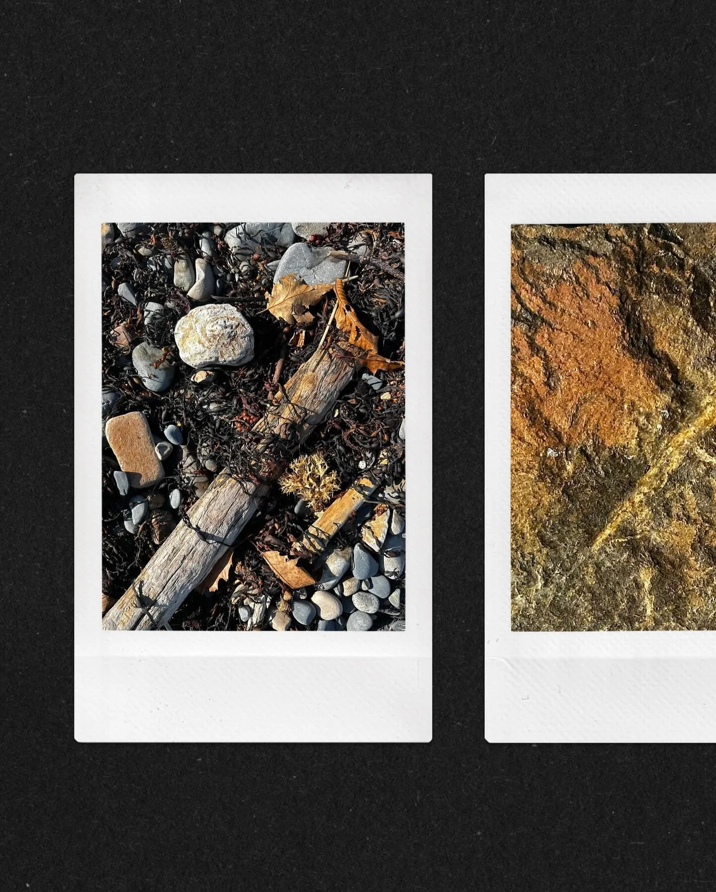 Little Beach . Inspo_1 
#color #texture #designinspiration #oceaninspired #ogt