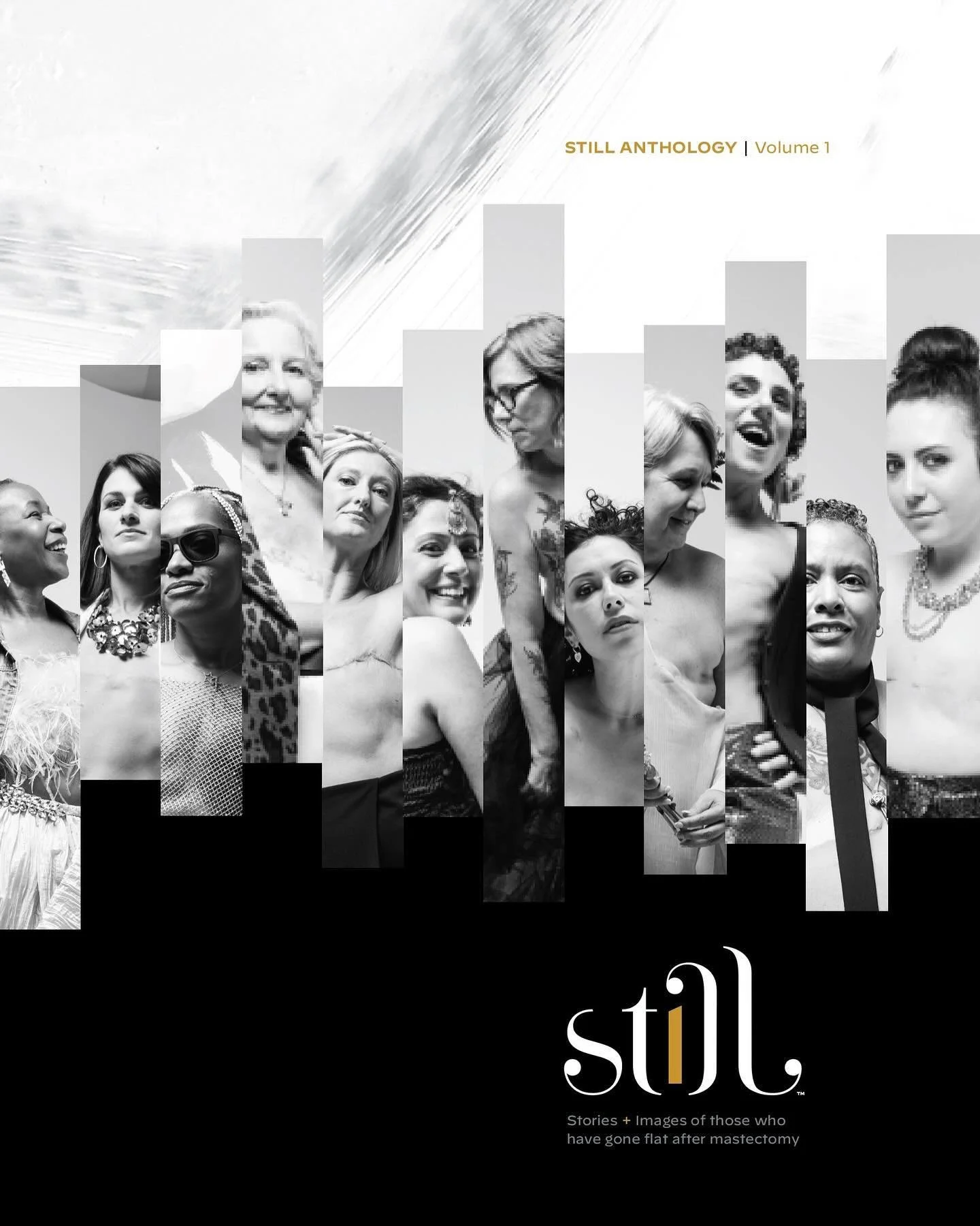 Get ready to celebrate the official launch of Still! 

Join us for a first look at the Still Anthology and Still Compendium, and to celebrate the twelve flatties and the incredible creative team that came together to create this work. We have some ex