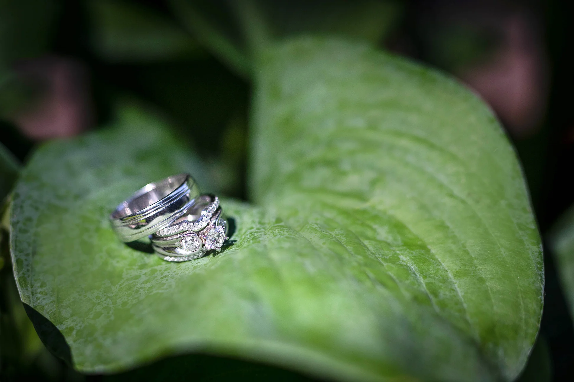 Ring-Leag-Web.jpg