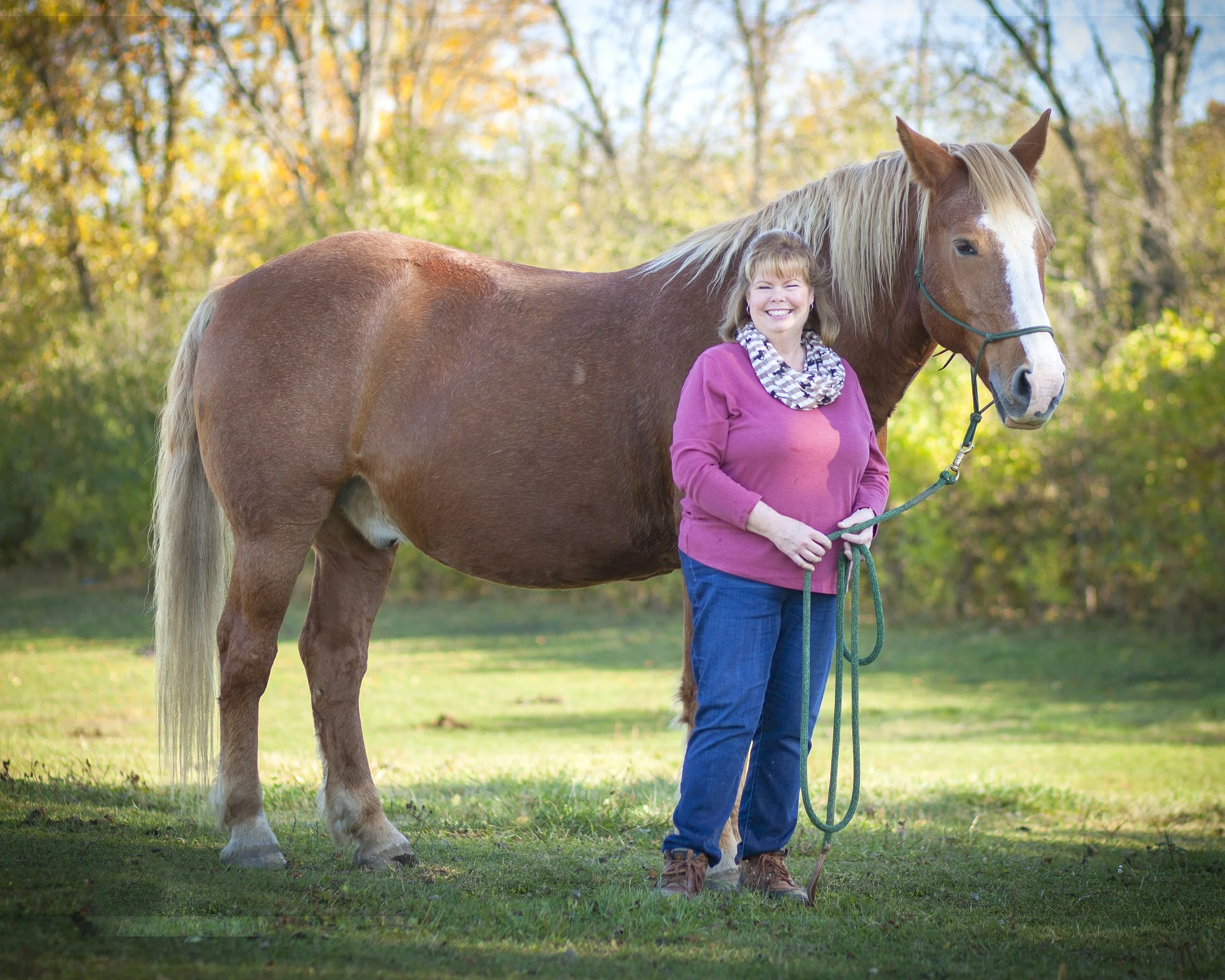 Mome Horse Comp 8x10.jpg