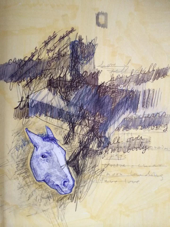 horse face.jpg