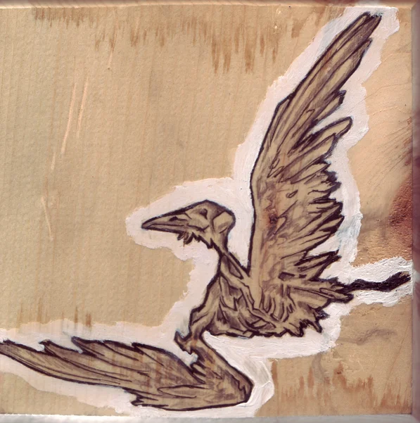 bird.jpg