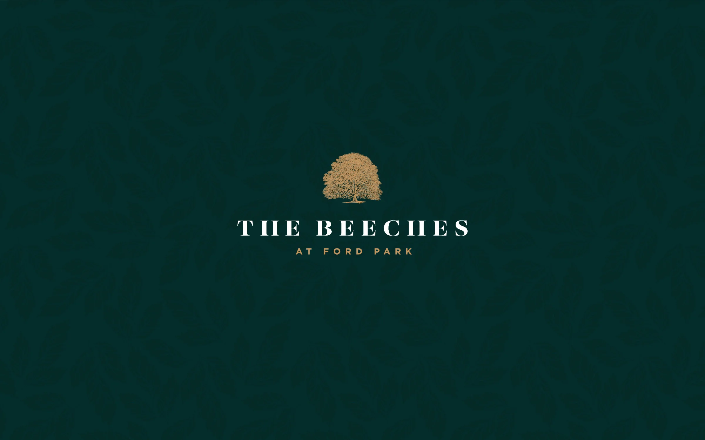 the-beeches.jpg