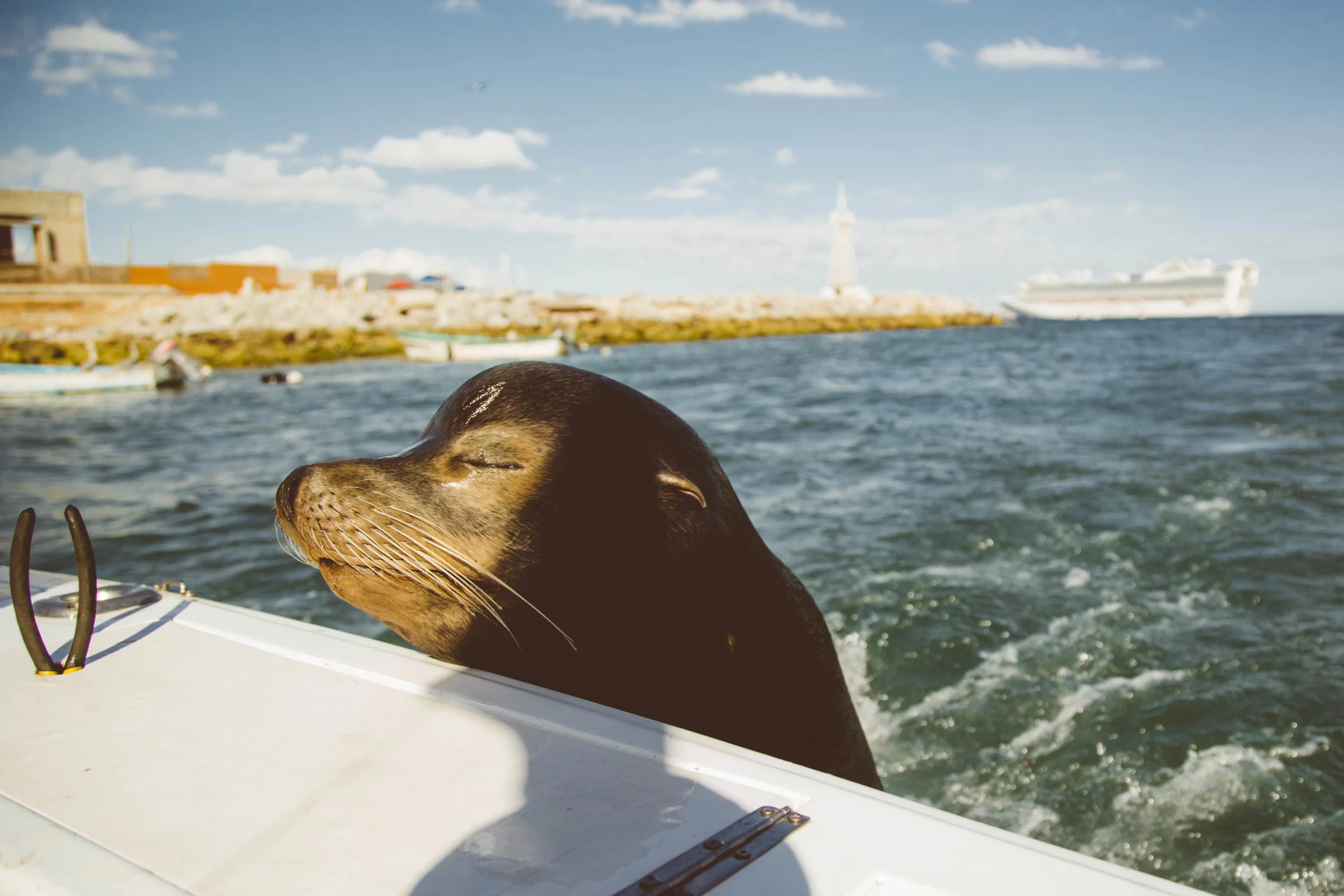 Cabo2014 (77 of 77).jpg
