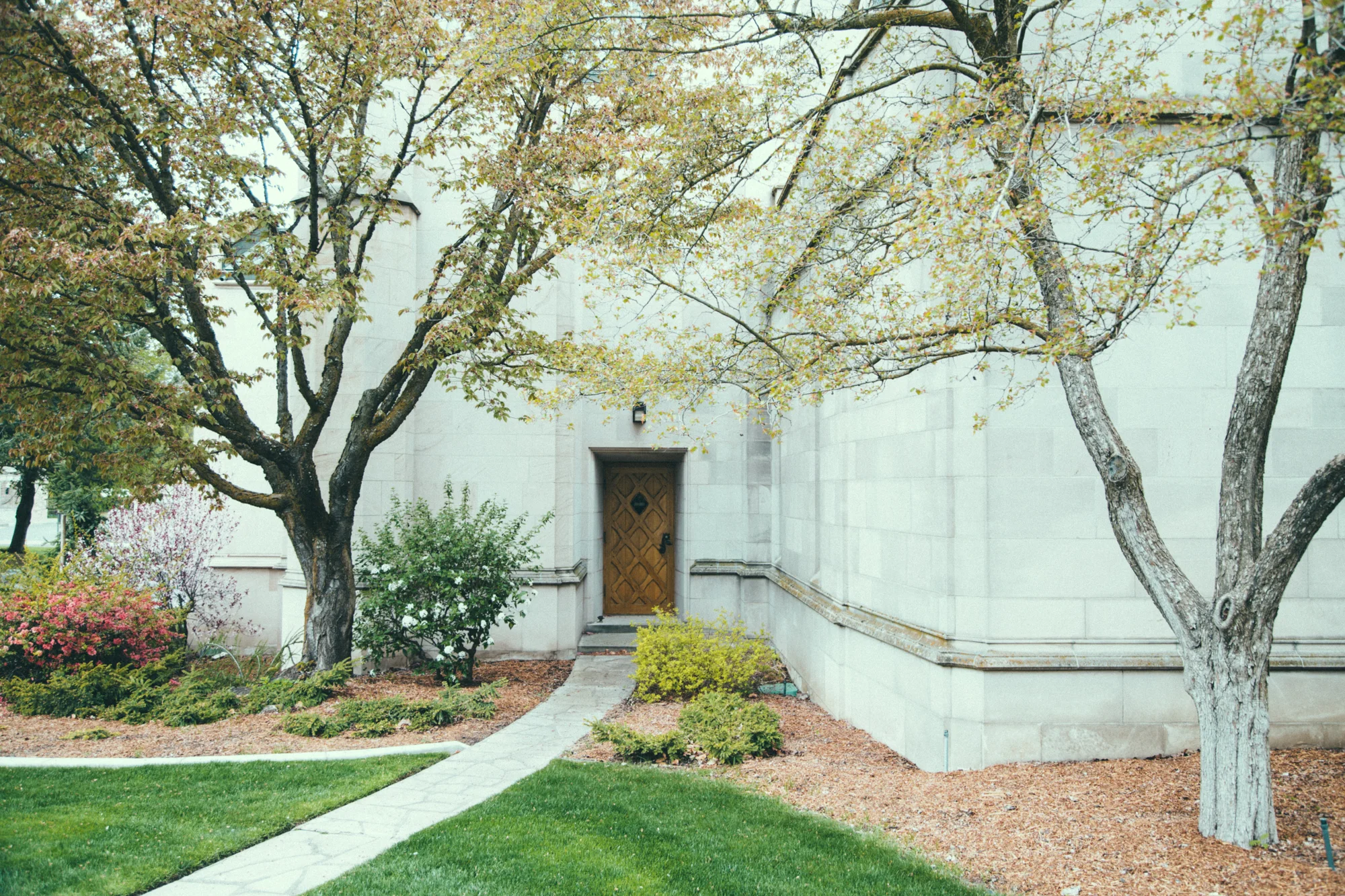 StJohnGlassWEB-2.jpg