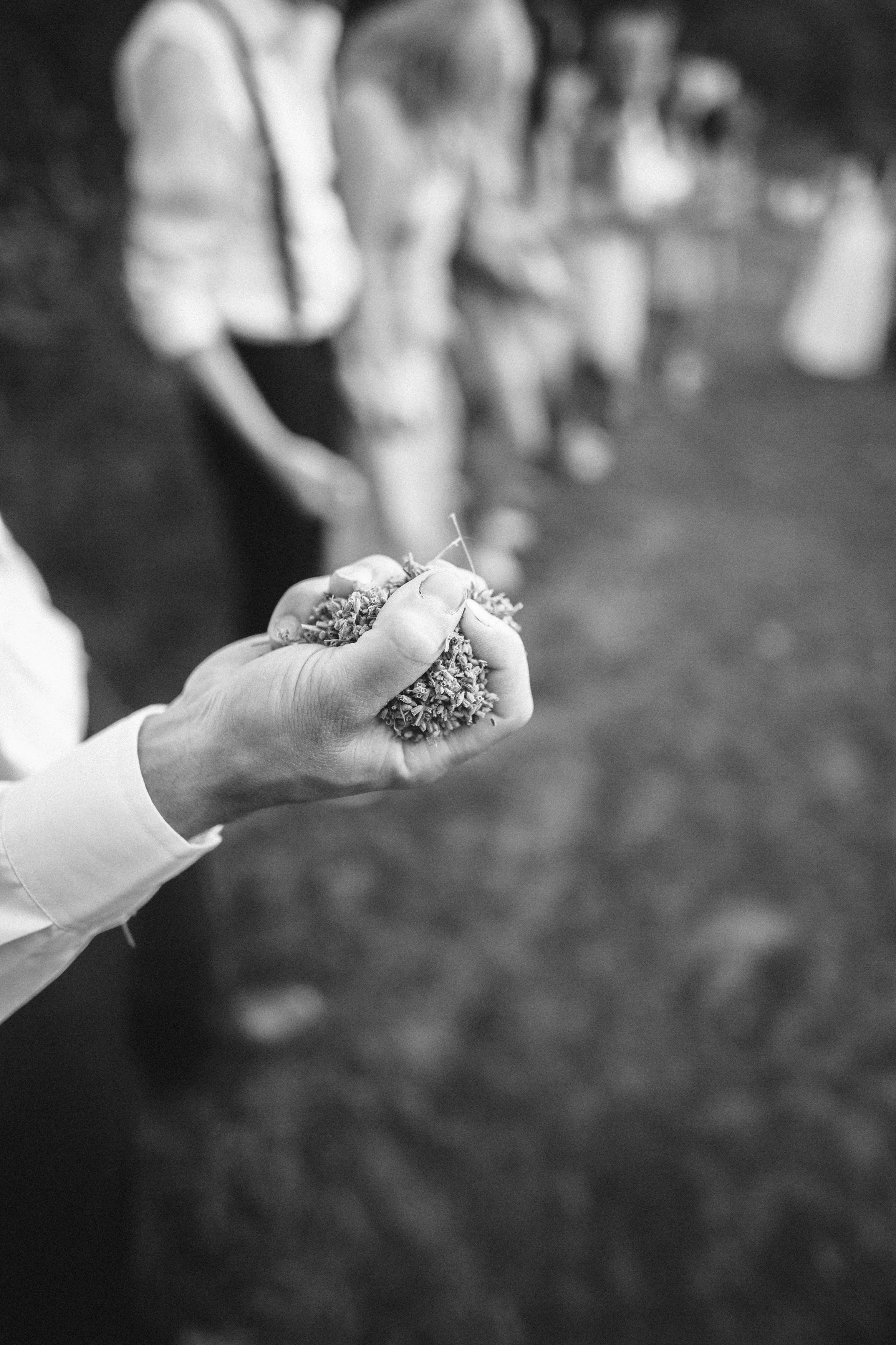 Rick-Elizabeth-Wedding-494.jpg