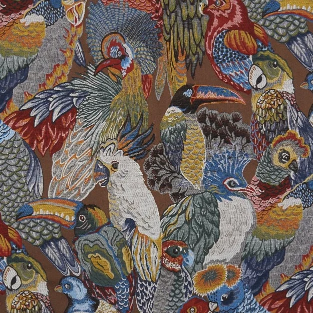 PARROTS_65SJ101.jpg