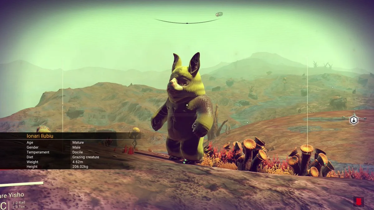 Bearfriend
