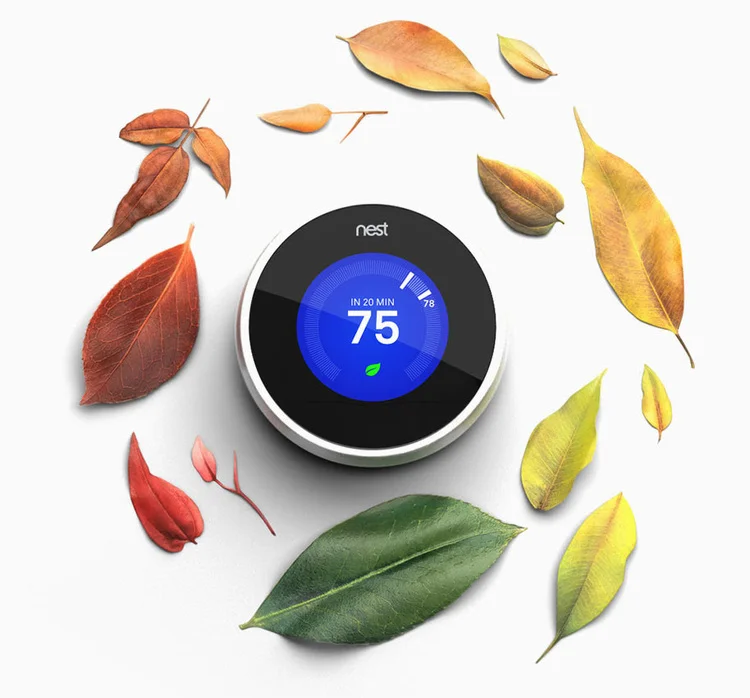 Let us plant a tree for you.