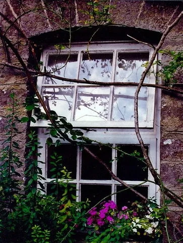 Looking for the Right Windows for Your Home?